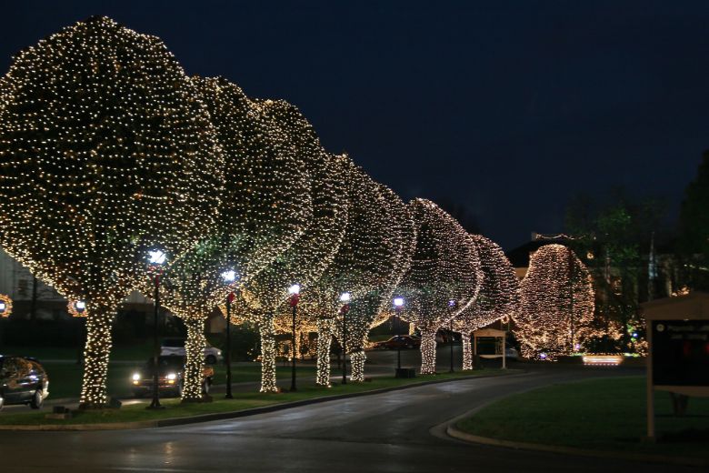 Roof line and landscape Christmas lighting on a Florida home