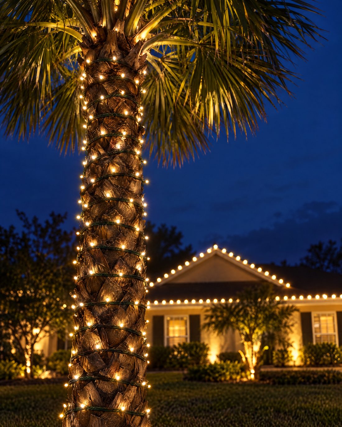 Close-up of a palm trunk wrapped in warm white mini lights with a lit roofline behind it