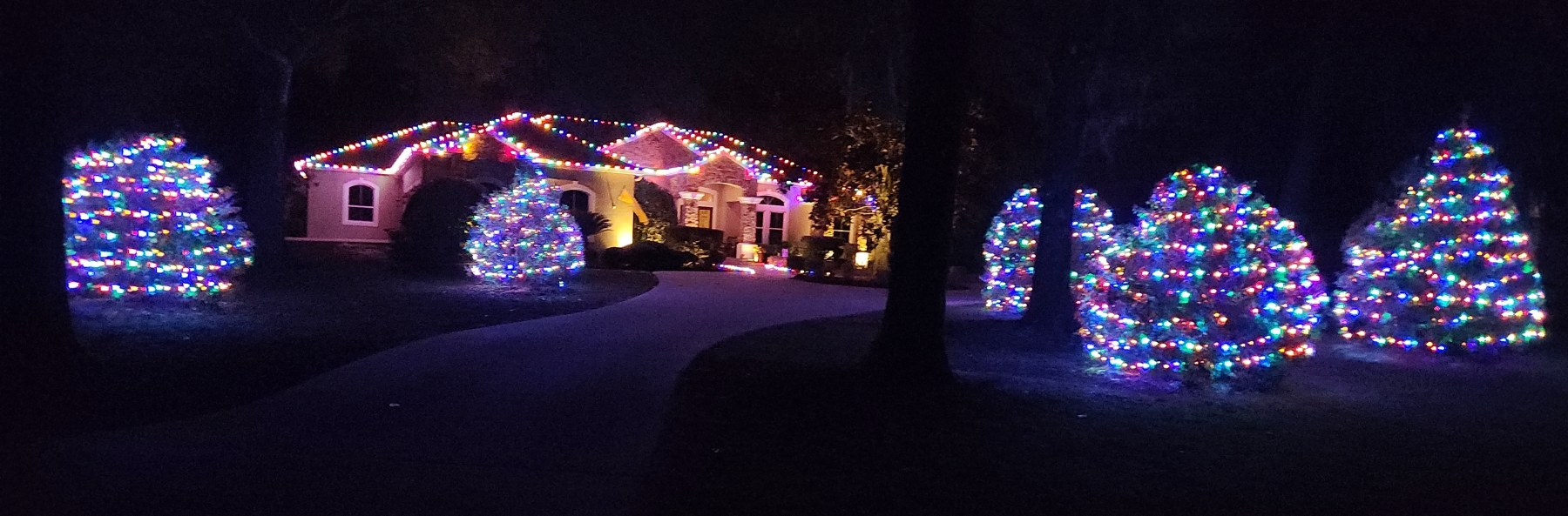 Home with a multicolor roofline and yard trees wrapped in multicolor mini lights